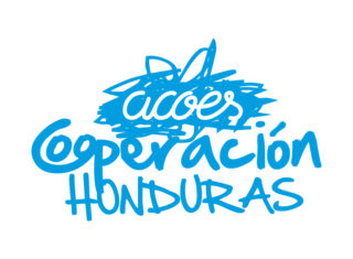Experiencia